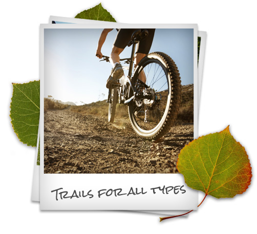 Mountain recreation: Mountain Biking near Scofield, Utah