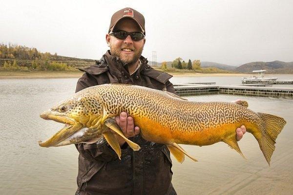 Fishing at Scofield Reservoir for Tiger Trout